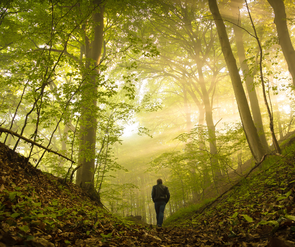 Moć samoiscjeljenja ljudskog tijela